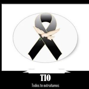 Meet your Posher, Celia